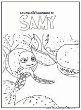 Samy Tartaruga Tortue Sammy Extraordinaire Colorindo sketch template