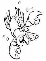 Hummer Kreeft Ausmalbilder Lobster Kreeften Kleurplaten Malvorlage Kleurplaat Stimmen Zo sketch template