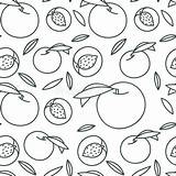 Seamless Modello Esotica Frutta Parati Schizzo Cuciture Disegnata Fresca sketch template