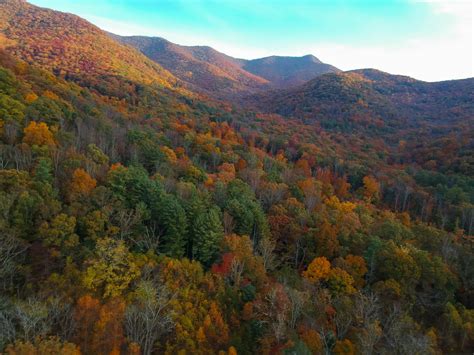 blue ridge mountains  peak autumn foliage  asheville north carolina rpics