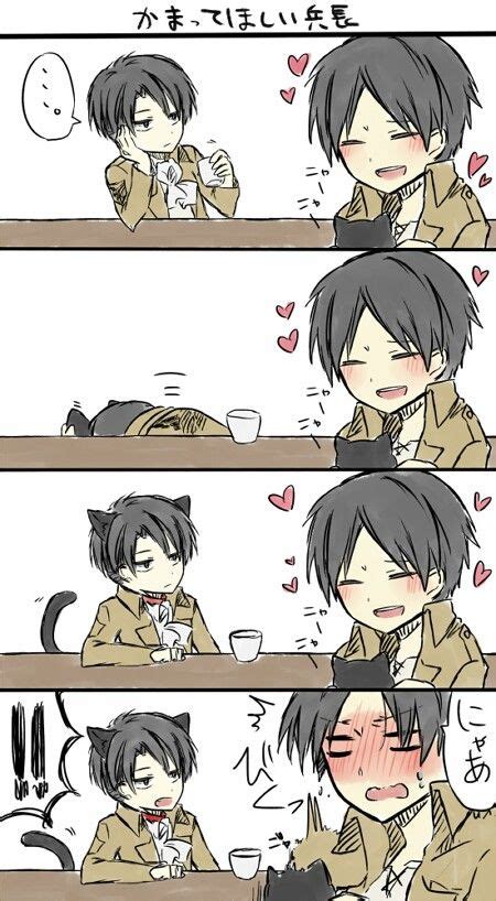 Random Levi X Eren Meow Wattpad