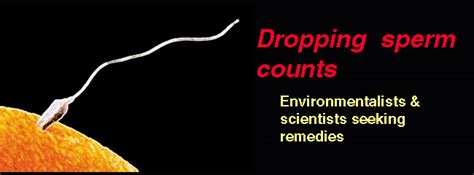 Dropping Sperm Counts
