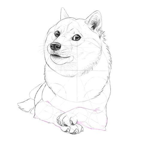 tutorial  fun   draw doge