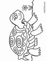 Turtle Coloring Pages Turtles Kleurplaat Animal Printable Sea Adult Kleurplaten Hellokids Nl Schildpad Colouring Kids Color Baby Bacheca Scegli Una sketch template