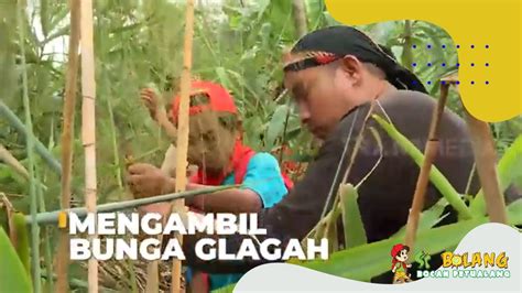 Mengambil Bunga Glagah Si Bolang 14 10 22 Youtube