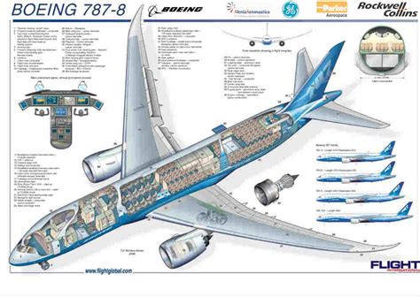 boeing   cutaway drawing boeing aircraft boeing  dreamliner