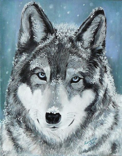 wolf gallery  fate   canis lupus