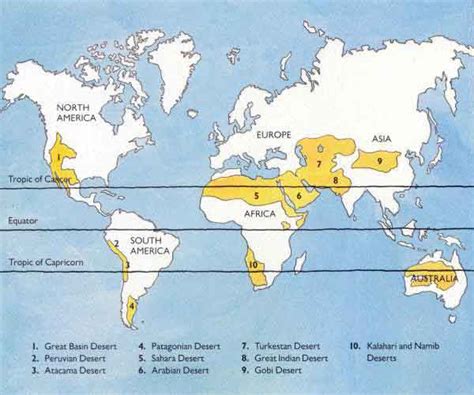 desert biome facts  facts  animals  plants