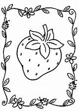 Fraise Coloring Strawberry Shortcake Bordes Primario Fotocopiables Nivel Actividades sketch template