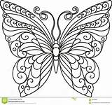 Butterfly Outline Drawing Coloring Template Pages Patterns Paper Beautiful Quilling Dreamstime Whimsical Stock Mandala Choose Board Sketch Getdrawings sketch template