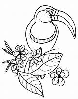 Coloring Pages Bird Kids Birds Animated Animal Coloringkids sketch template
