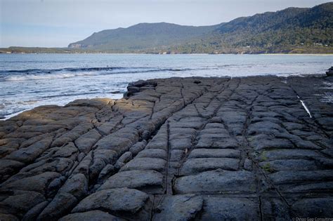 tessellated pavement