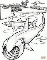 Monstruos Ausmalbild Páginas Zwei Ausmalbilder Tiburón Tatoo Imprimir sketch template