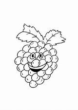 Himbeere Lachende Malvorlagen Weintraube Obst sketch template