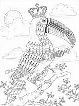 Coloring Toucan Adult Pages Super Printable Paint Adults Coloring4free Coloringbay King Template sketch template