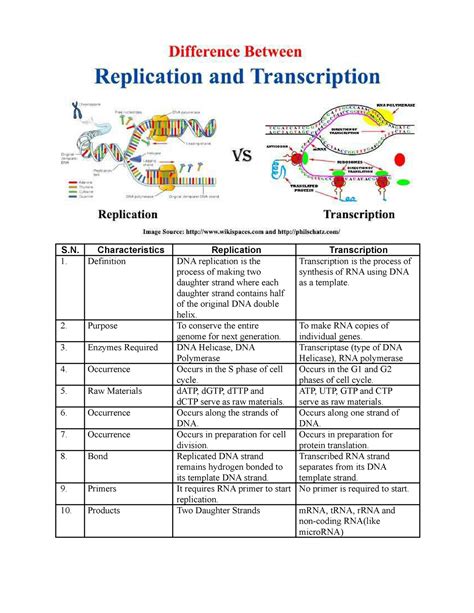 difference  replication  transcription  characteristics replication transcription