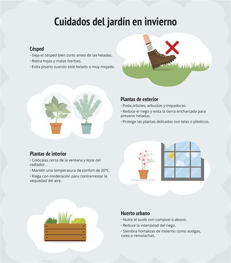 Infografía Cómo Cuidar El Jardín En Invierno Aprende And Mejora