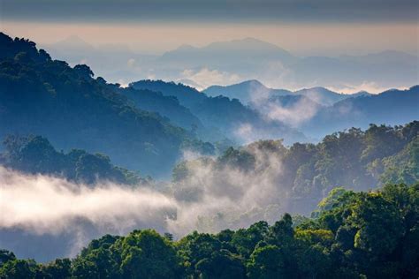 morning mist  tropical mountain rangethis place    kaeng