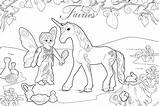 Playmobil Ausmalbild Fairies Feen Ausmalbilder Kostenlos Coloring Desenhos Malvorlagen Colorir Unicornio Escolha Pasta sketch template