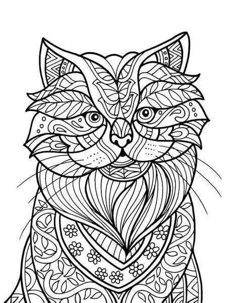 introduction  colorit  pack   drawings cat coloring