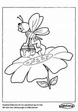 Bee Honey Coloring Kidloland Pages sketch template