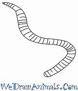 Earthworm Drawing Draw Easy Drawings Earth Tutorial Print Paintingvalley sketch template