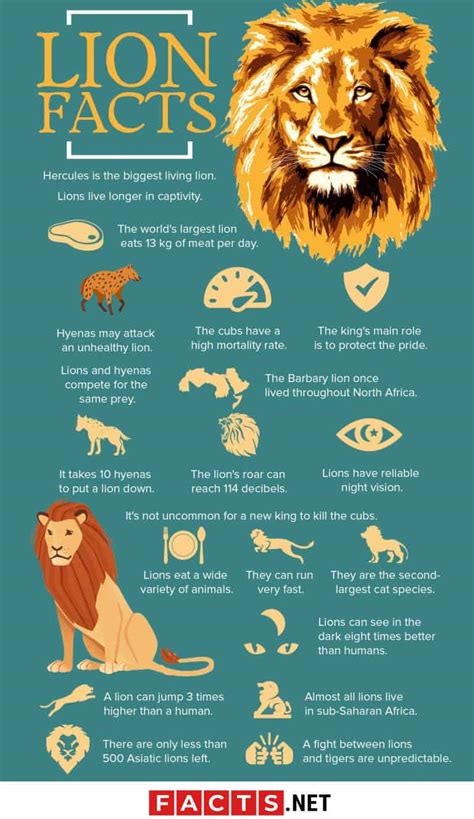 roaring lion facts    knew