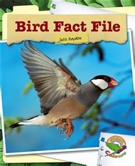 bird fact file buy book  fiction  primary