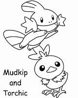 Torchic Mudkip sketch template