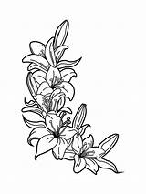 Coloring Pages Lily Flower Flowers Lilies Printable Print sketch template