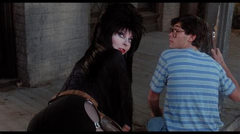 Elvira Mistress Of The Dark Blu Ray Review Horror Hostess Hits The
