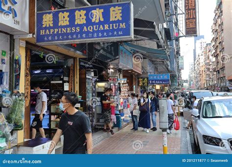 hong kong gold fish market mong kok  nov  editorial photography image  china aquarium