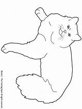 Ragdoll Coloring Pages Colouring sketch template