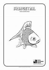 Coloring Pages Cool Print sketch template