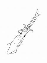 Squid Pesci Splatoon sketch template