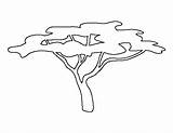 Tree African Drawing Trees Template Pattern Africa Printable Stencil Acacia Templates Patterns Outline Stencils Silhouette Coloring Patternuniverse Safari Savanna Drawings sketch template