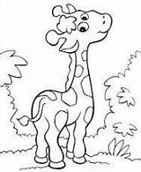 Coloring Pages Colorear Jirafas Para Giraffe Childrencoloring Kids sketch template