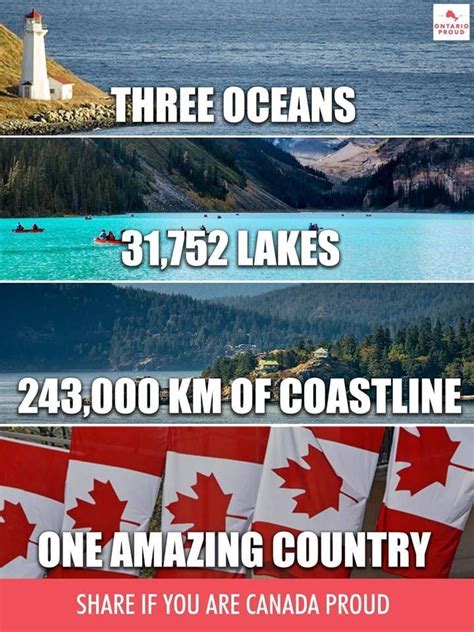 pin by anne m ¨ on canada canada memes canada funny meanwhile