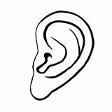 Ear Left Coloring Pages sketch template