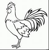 Rooster Drawing Simple Coloring Pages Color Getdrawings sketch template