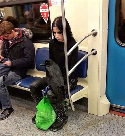 goth woman sits on subway with raven on lap photo opposing views