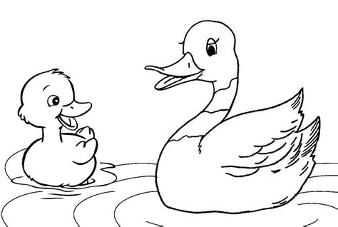 fun duck  ducklings coloring pages  children coloring pages