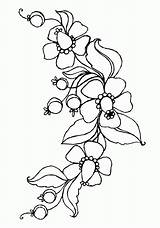 Flowers Print Coloring Pages Printable Kids Popular Library Clipart Coloringhome sketch template