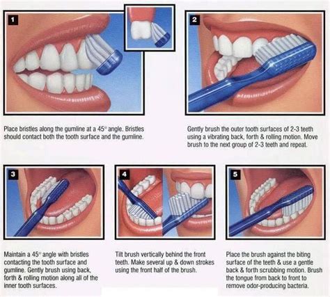 tooth brushing techniques news dentagama