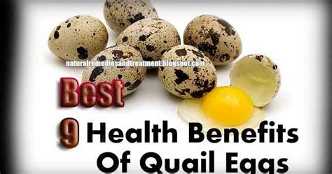 Best 9 Health Benefits Of Quail Eggs Quail Eggs Quail Eggs