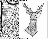 Zentangle Colouring Deer Animal Coloring Intricate Sheet sketch template