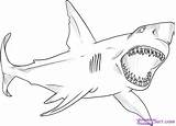 Shark Coloring Great Draw Pages Step Drawings Color Sharks Drawing Fish Megalodon Desenho Sheet Colouring Sheets Para Dragoart Easy Flowers sketch template