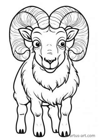 bighorn sheep coloring page  kids   artus art