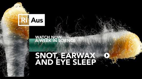 what is snot earwax and eye sleep a week in science youtube