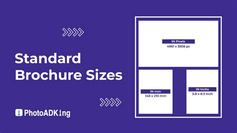 standard brochure sizes  dimensions